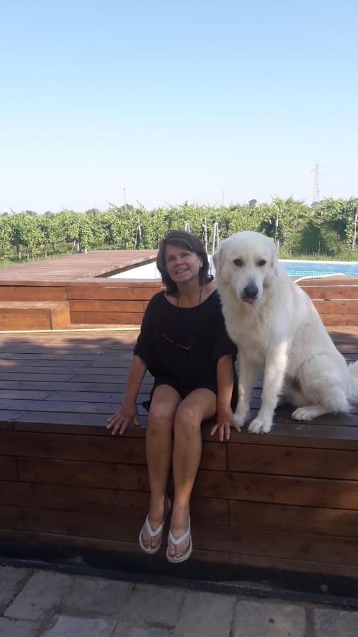 Tenuta Crescentini-Vallemura ,Appartamenti Con Entrata Indipendente San Donà di Piave Екстериор снимка