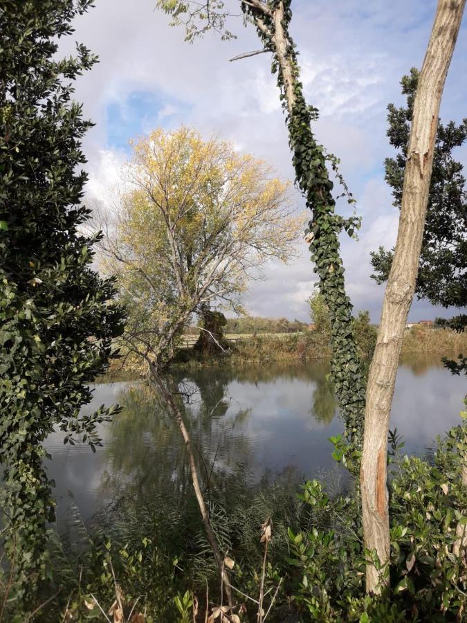 Tenuta Crescentini-Vallemura ,Appartamenti Con Entrata Indipendente San Donà di Piave Екстериор снимка