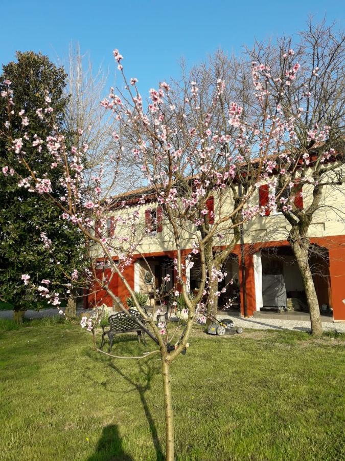 Tenuta Crescentini-Vallemura ,Appartamenti Con Entrata Indipendente San Donà di Piave Екстериор снимка