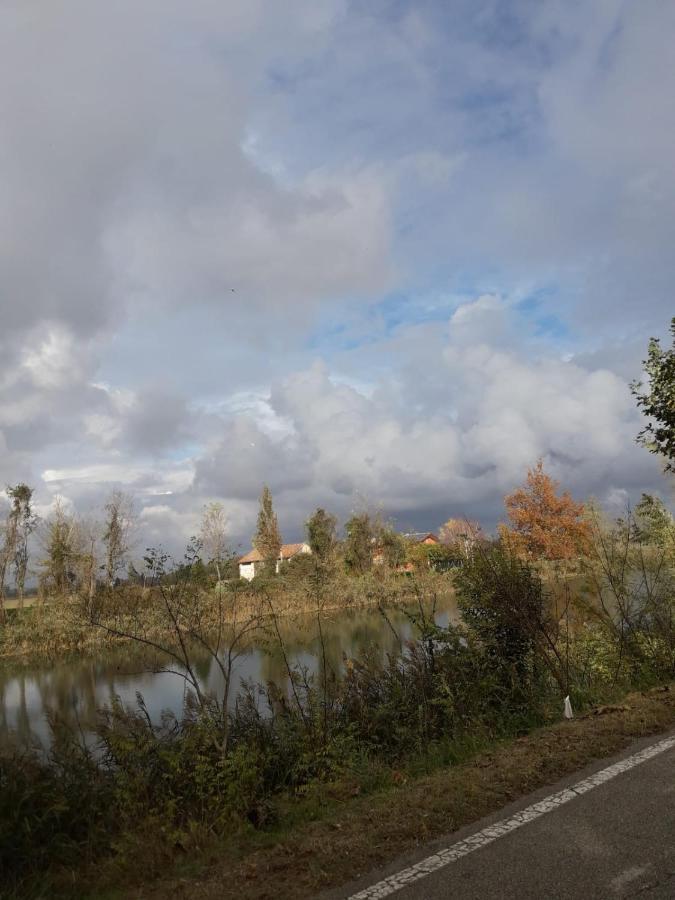 Tenuta Crescentini-Vallemura ,Appartamenti Con Entrata Indipendente San Donà di Piave Екстериор снимка