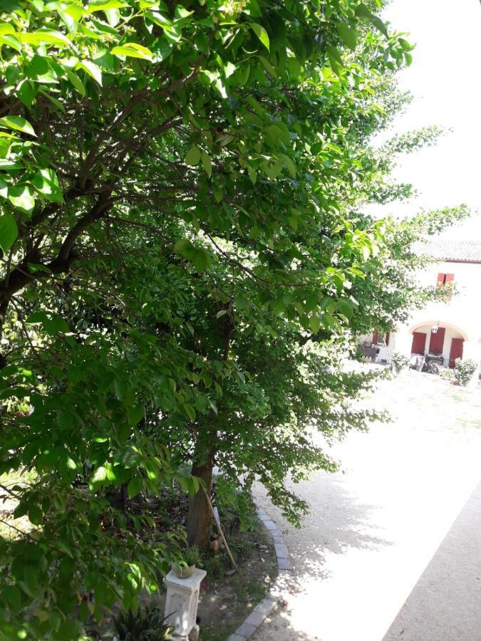 Tenuta Crescentini-Vallemura ,Appartamenti Con Entrata Indipendente San Donà di Piave Екстериор снимка