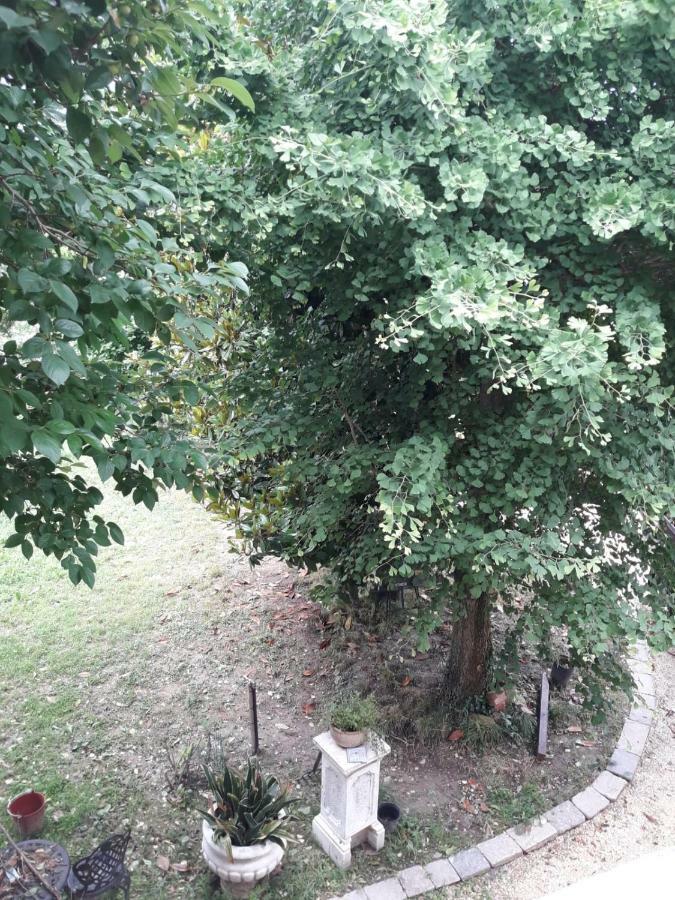 Tenuta Crescentini-Vallemura ,Appartamenti Con Entrata Indipendente San Donà di Piave Екстериор снимка