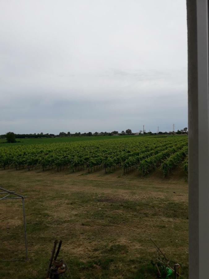 Tenuta Crescentini-Vallemura ,Appartamenti Con Entrata Indipendente San Donà di Piave Екстериор снимка