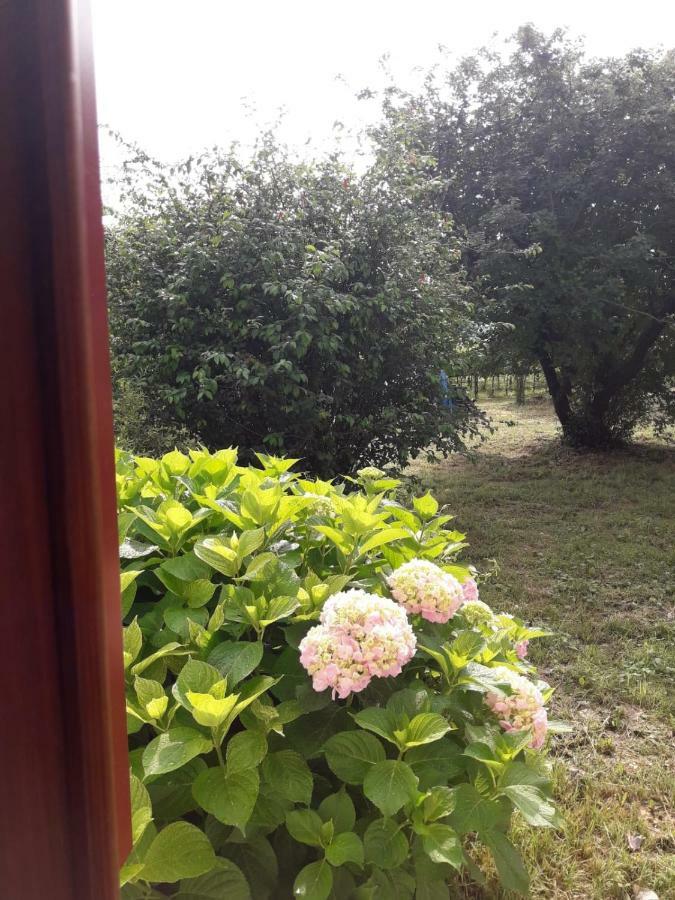 Tenuta Crescentini-Vallemura ,Appartamenti Con Entrata Indipendente San Donà di Piave Екстериор снимка