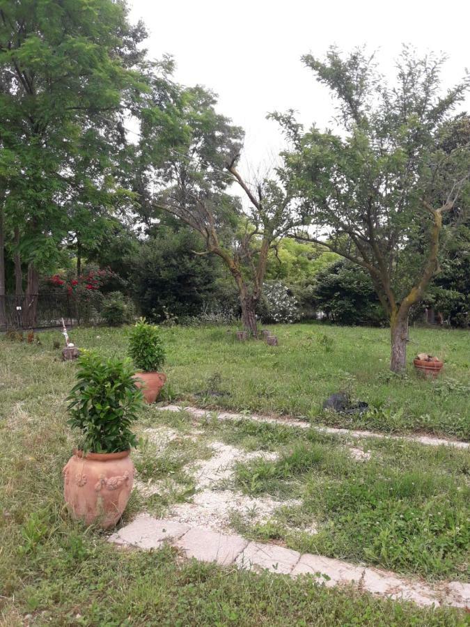 Tenuta Crescentini-Vallemura ,Appartamenti Con Entrata Indipendente San Donà di Piave Екстериор снимка