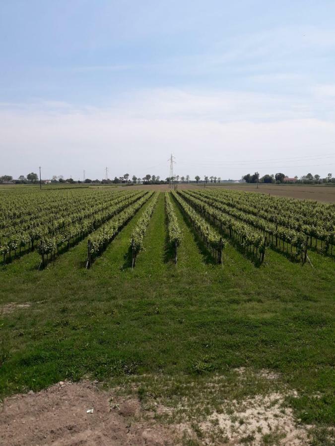 Tenuta Crescentini-Vallemura ,Appartamenti Con Entrata Indipendente San Donà di Piave Екстериор снимка