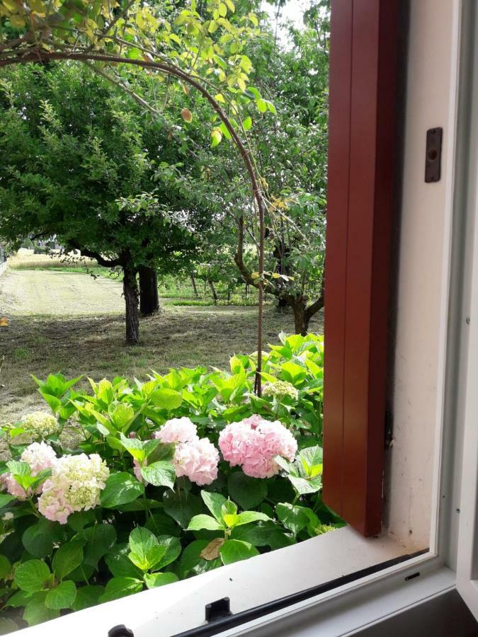 Tenuta Crescentini-Vallemura ,Appartamenti Con Entrata Indipendente San Donà di Piave Екстериор снимка