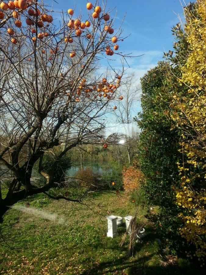 Tenuta Crescentini-Vallemura ,Appartamenti Con Entrata Indipendente San Donà di Piave Екстериор снимка