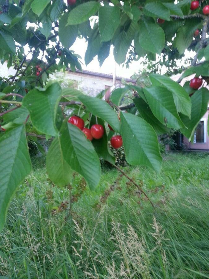Tenuta Crescentini-Vallemura ,Appartamenti Con Entrata Indipendente San Donà di Piave Екстериор снимка