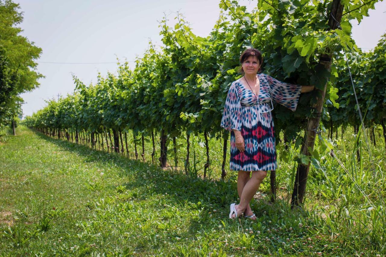 Tenuta Crescentini-Vallemura ,Appartamenti Con Entrata Indipendente San Donà di Piave Екстериор снимка
